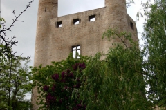 ©Bilder vom Hohen Schwarm (4)