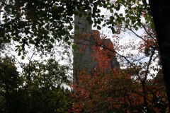 ©Bilder von Saalfeld Hoher Schwarm (1)
