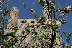 ©am und um den Hohen Schwarm (5)